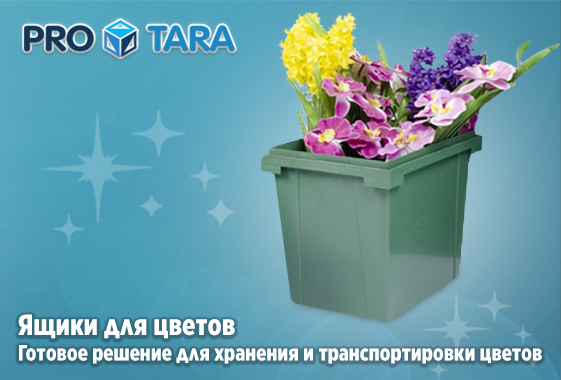Готовые решения для цветов